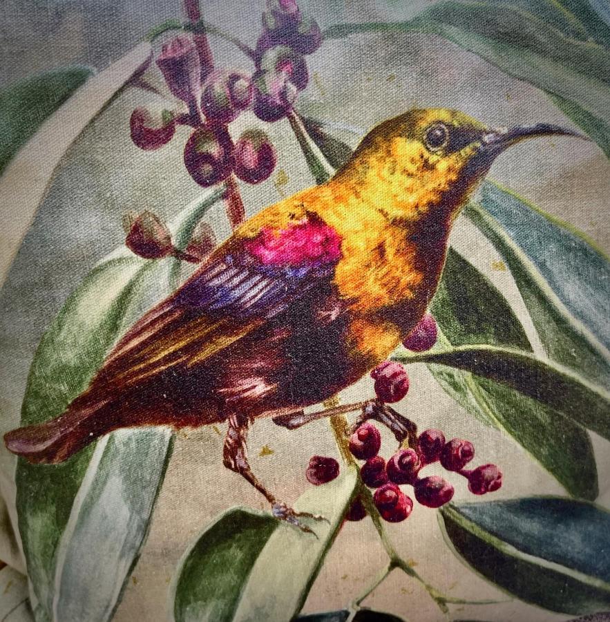 普勒滕贝格湾The Sunbird公寓 外观 照片
